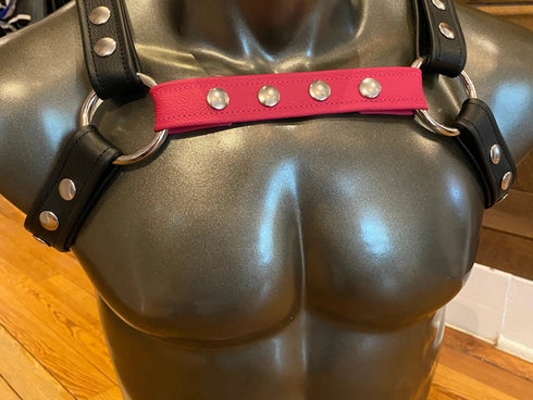 Classic Bulldog Harness - Interchangeable Strap